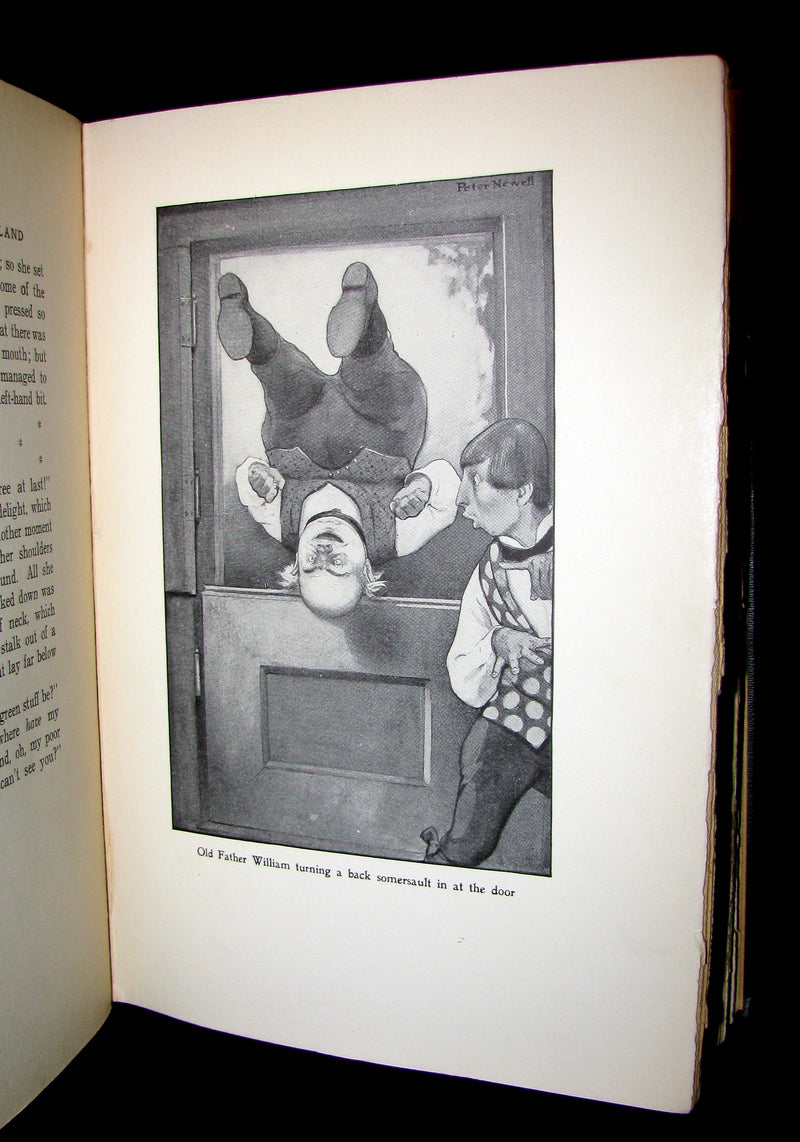 1901 Rare Edition - Alice's Adventures in Wonderland by Lewis Carroll illustrated by Peter Newell.