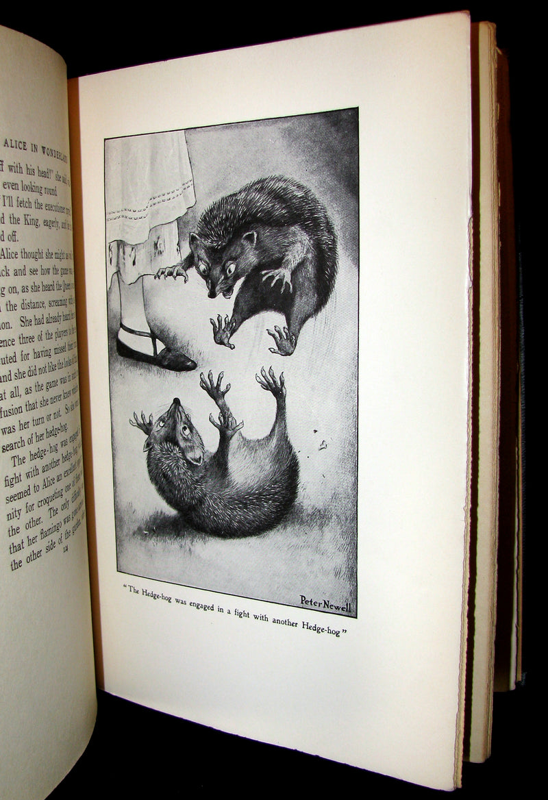 1901 Rare Edition - Alice's Adventures in Wonderland by Lewis Carroll illustrated by Peter Newell.