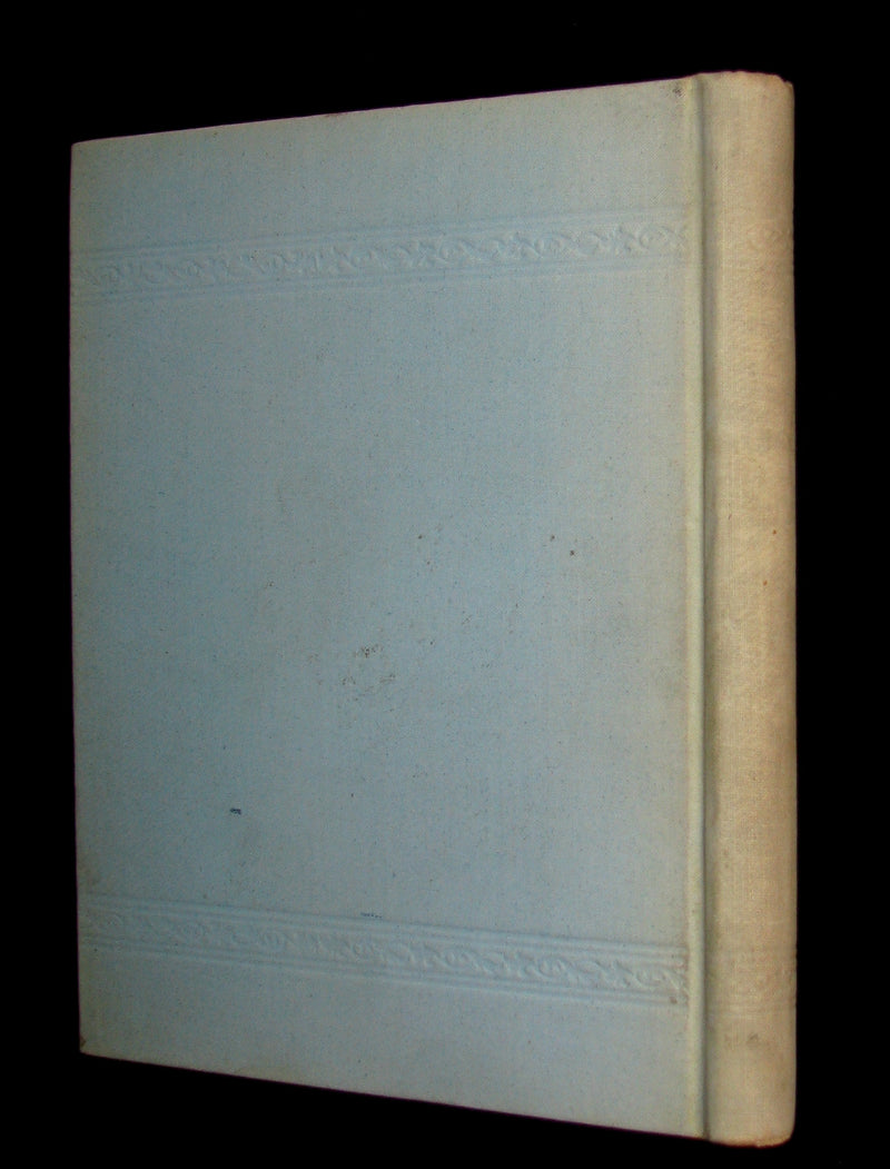 1899 Scarce Book - MYSTERY OF FAIRY SPRING -  A Tale of Otsego Lake by James Pitcher