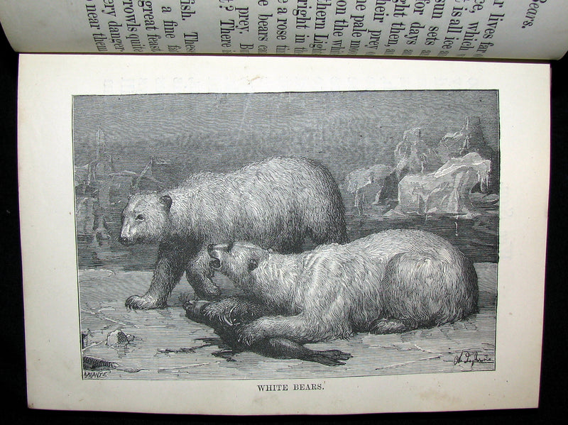 1874 Very Scarce Victorian Book - ALICE'S NEW BOOK. And Other Tales. Illustrated.