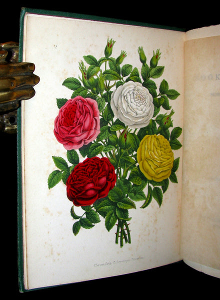 1872 Rare Victorian Gardening Book -  A book about Roses : How to grow and show them