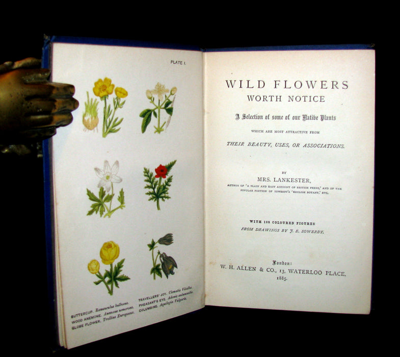 1885 Rare Victorian Book ~ WILD FLOWERS Worth Notice. by British Botanist Phoebe Lankester. Color Illustrated.