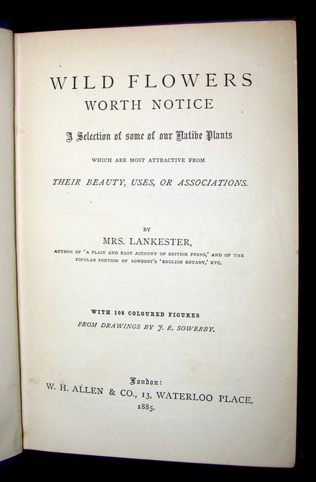 1885 Rare Victorian Book ~ WILD FLOWERS Worth Notice. by British Botanist Phoebe Lankester. Color Illustrated.