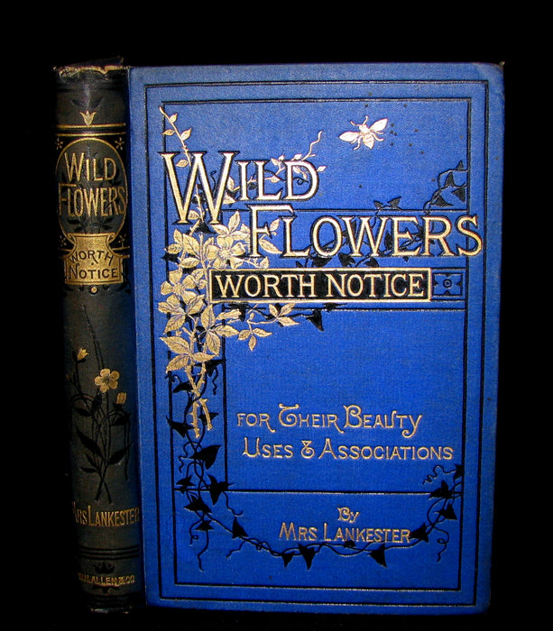 1885 Rare Victorian Book ~ WILD FLOWERS Worth Notice. by British Botanist Phoebe Lankester. Color Illustrated.