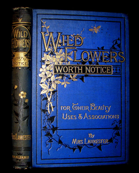 1885 Rare Victorian Book ~ WILD FLOWERS Worth Notice. by British Botanist Phoebe Lankester. Color Illustrated.