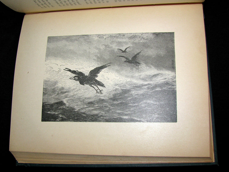 1883 Scarce Book - Norwegian Folk and Fairy Tales by P. Chr. Asbjörnsen. Illustrated.