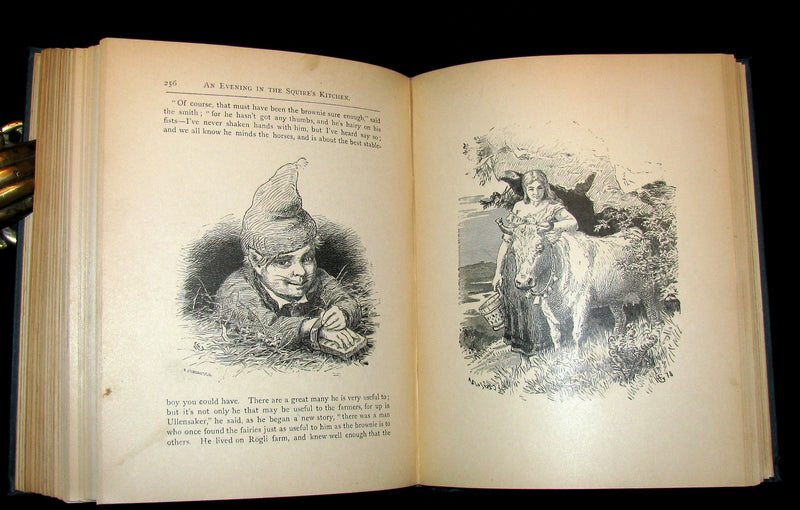 1883 Scarce Book - Norwegian Folk and Fairy Tales by P. Chr. Asbjörnsen. Illustrated.
