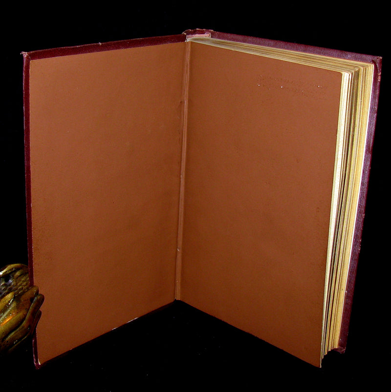 1881 Rare Victorian Book - Poems of Edgar Allan POE (The Raven, Lenore, Ulalume, ...)