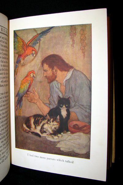 1920 Rare Book - Robinson Crusoe illustrated by Elenore Plaisted Abbott.