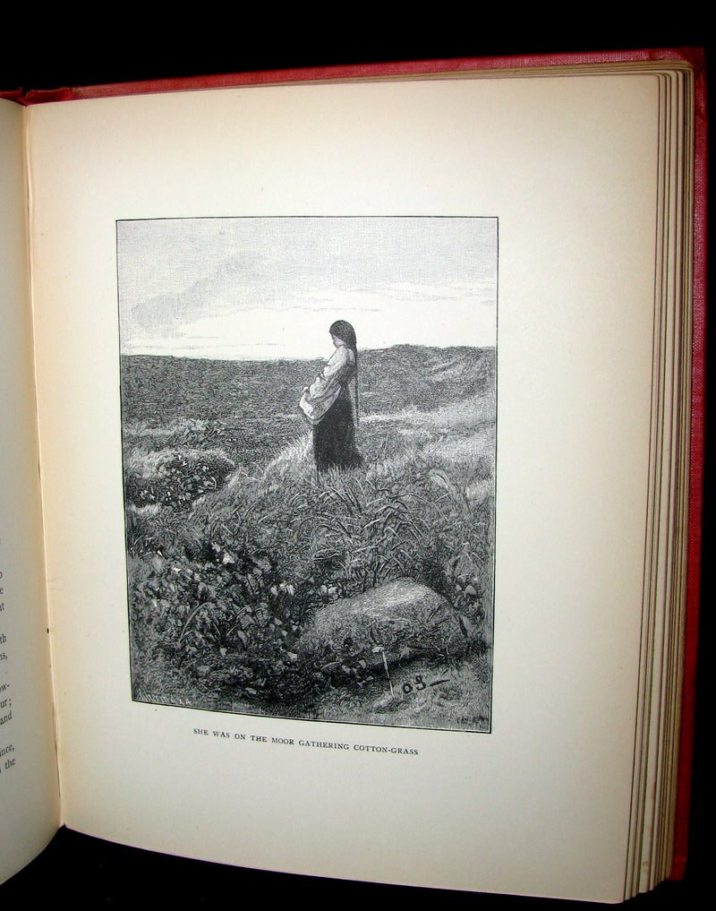 1897 Scarce English 1stED Book - Norwegian Fairy Tales from the Far North by Asbjørnsen