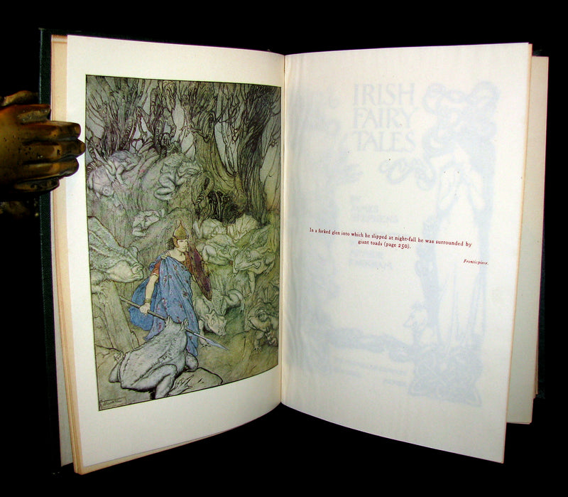 1920 First American Edition - Irish fairy Tales by James Stephens illustrated by Arthur Rackham