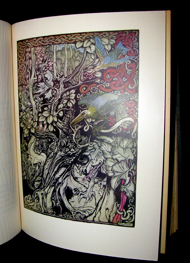 1920 First American Edition - Irish fairy Tales by James Stephens illustrated by Arthur Rackham