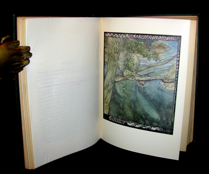 1920 First American Edition - Irish fairy Tales by James Stephens illustrated by Arthur Rackham