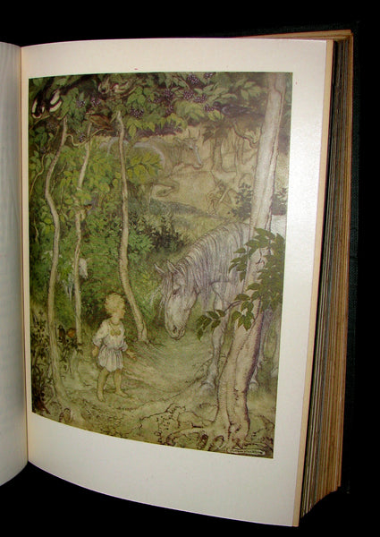 1920 First American Edition - Irish fairy Tales by James Stephens illustrated by Arthur Rackham