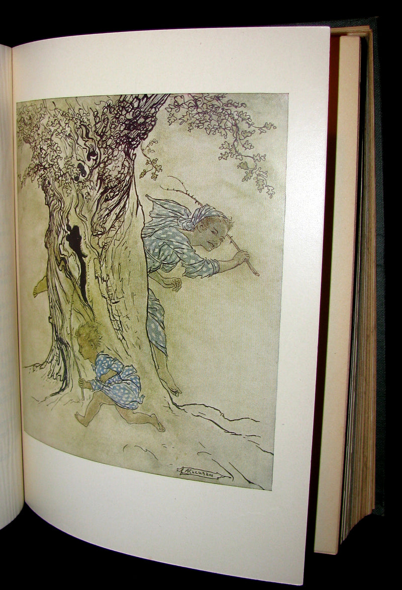 1920 First American Edition - Irish fairy Tales by James Stephens illustrated by Arthur Rackham