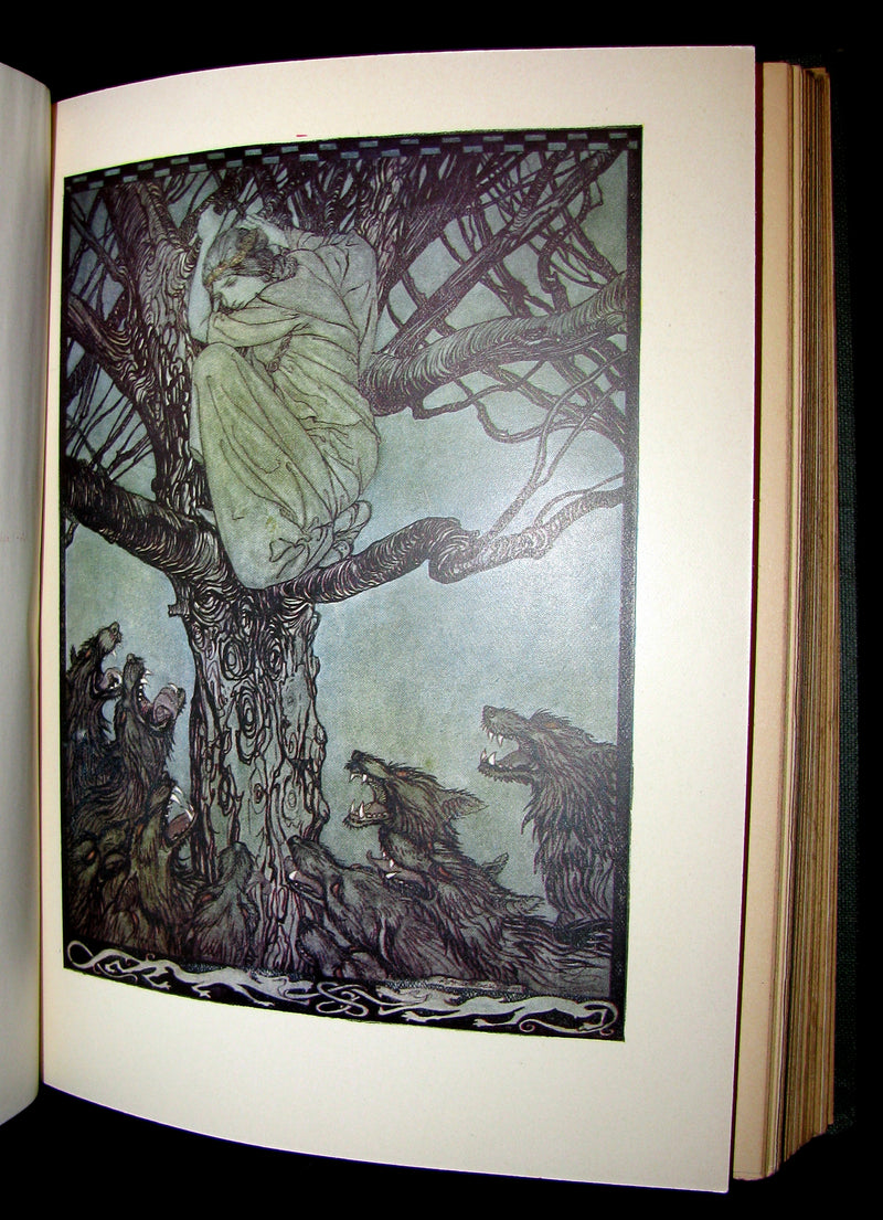 1920 First American Edition - Irish fairy Tales by James Stephens illustrated by Arthur Rackham