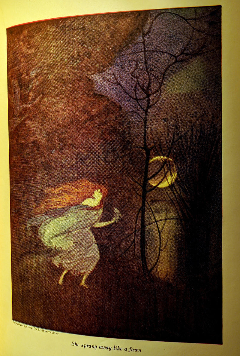 1933 Rare Book ~ Grimm's Fairy Tales Selected and Illustrated by Elenore Abbott.