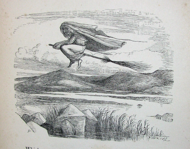 1865 Scarce Victorian Book - An Old Fairy Tale Told Anew (The Sleeping Beauty) with illustrations by R. Doyle