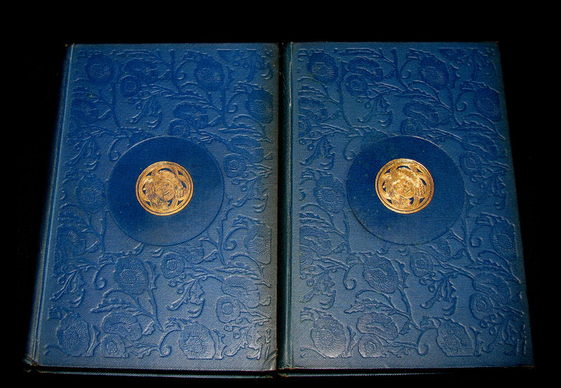 1895 Rare Book set - Notre-Dame de Paris - The Hunchback of Notre-Dame by Victor Hugo. Gothic.