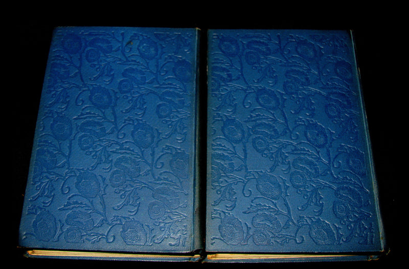 1895 Rare Book set - Notre-Dame de Paris - The Hunchback of Notre-Dame by Victor Hugo. Gothic.