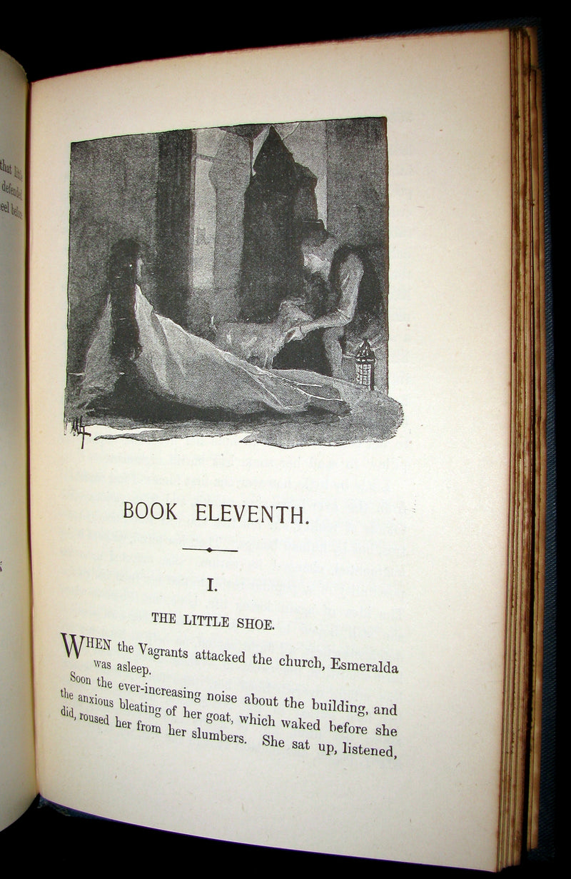 1895 Rare Book set - Notre-Dame de Paris - The Hunchback of Notre-Dame by Victor Hugo. Gothic.