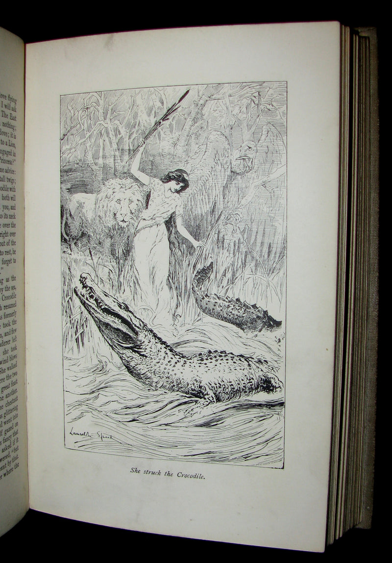 1908 Scarce Book ~ Grimm's Fairy Tales illustrated by H.M. Brock & Lancelot Speed.
