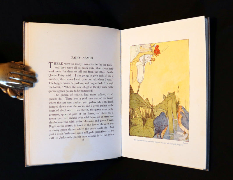 1915 Scarce 1stED Book - FLOWER FAIRIES by Clara Ingram Judson illustrated by Maginel Wright Enright.