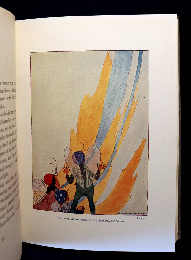 1915 Scarce 1stED Book - FLOWER FAIRIES by Clara Ingram Judson illustrated by Maginel Wright Enright.