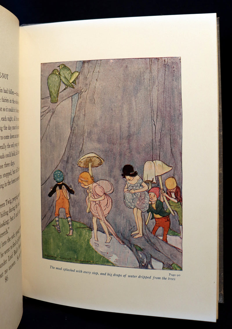 1915 Scarce 1stED Book - FLOWER FAIRIES by Clara Ingram Judson illustrated by Maginel Wright Enright.