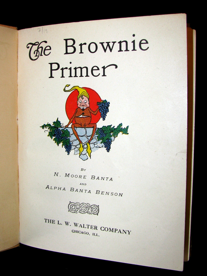 1905 Scarce Book ~ THE BROWNIE PRIMER by N.M. BANTA & ALPHA BANTA BENSON (Palmer Cox)