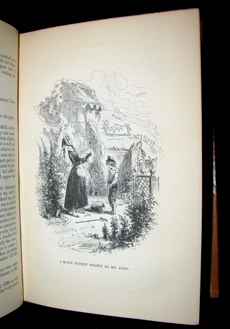 1892 Rare Victorian Book - DAVID COPPERFIELD by Charles Dickens. Illustrated.
