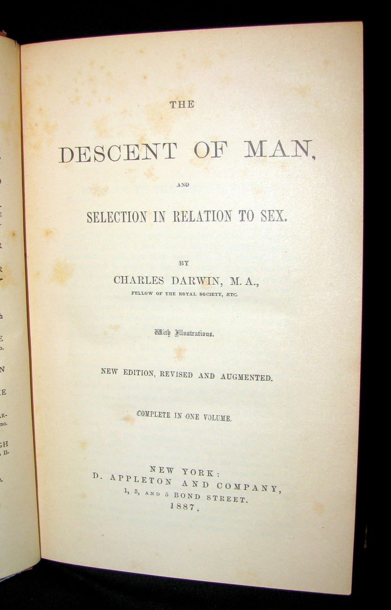 1887 Rare Book - CHARLES DARWIN - The DESCENT OF MAN and Selection in Relation to Sex.