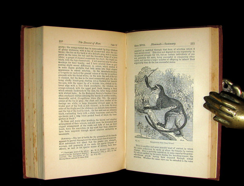 1887 Rare Book - CHARLES DARWIN - The DESCENT OF MAN and Selection in Relation to Sex.