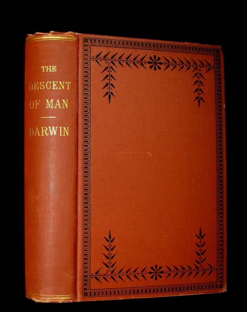 1887 Rare Book - CHARLES DARWIN - The DESCENT OF MAN and Selection in Relation to Sex.