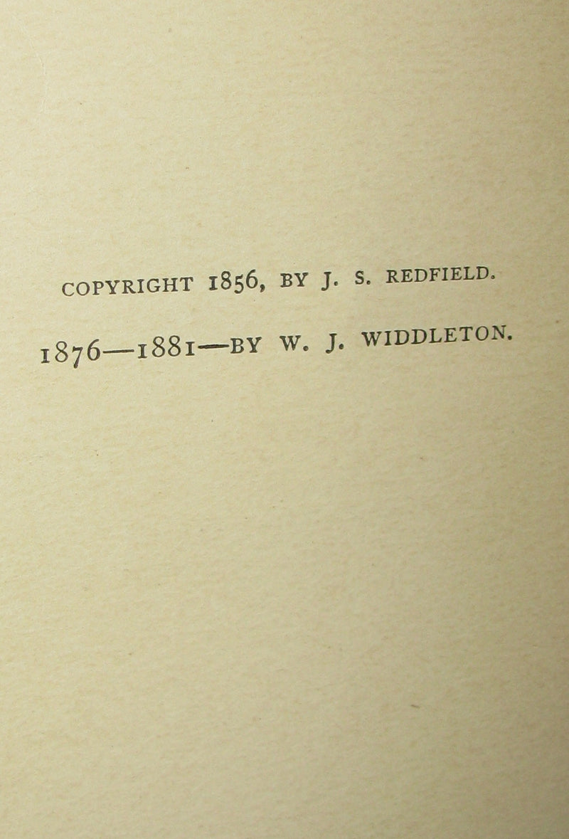1882 Rare Victorian Book - Poems of Edgar Allan POE (The Raven, Lenore, Ulalume, ...)