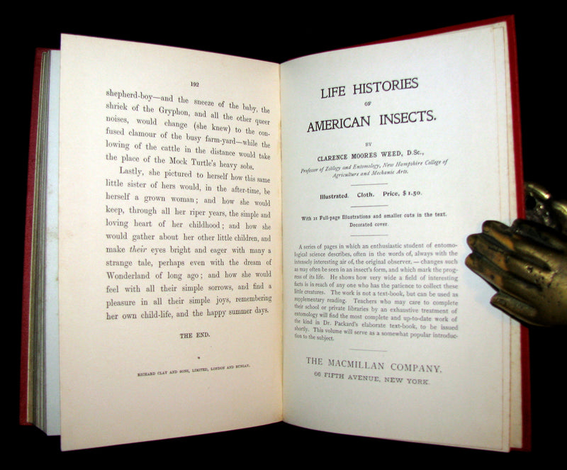 1899 Rare Book - ALICE'S ADVENTURES IN WONDERLAND by Lewis Carroll. Fine Condition.