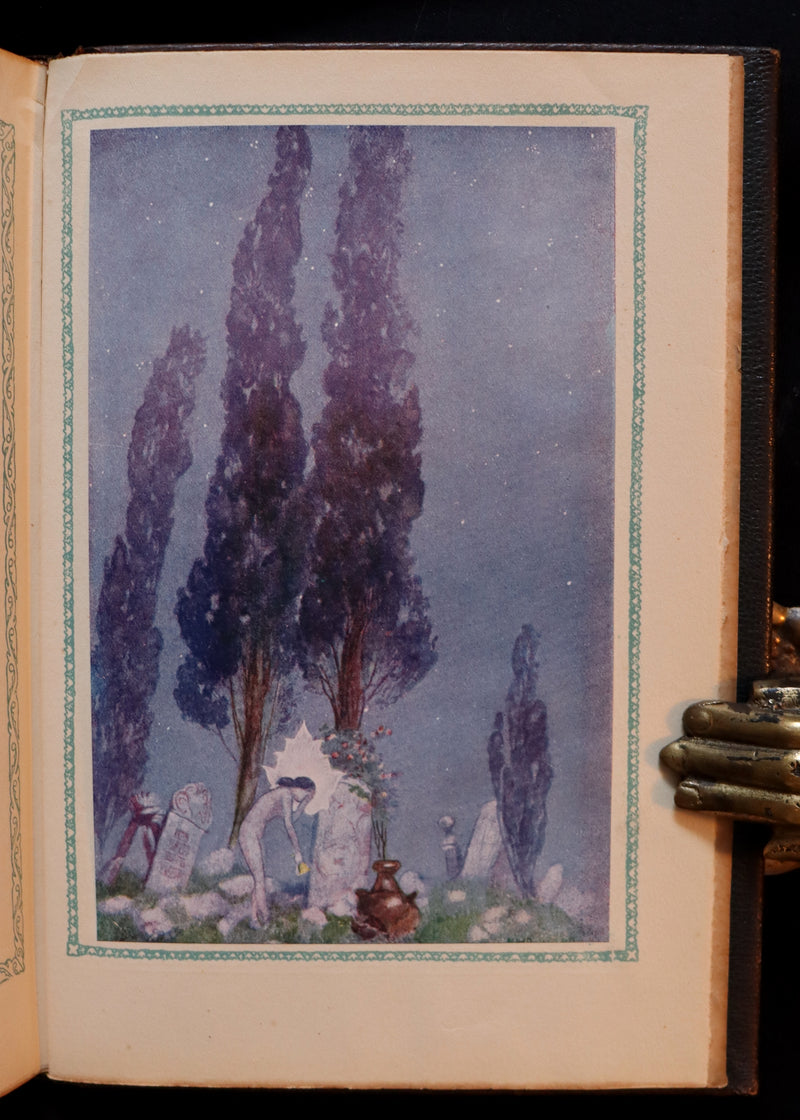 1917 Scarce De-Luxe Binding - Rubaiyat of Omar Khayyam wonderfully Illustrated by Willy Pogany.