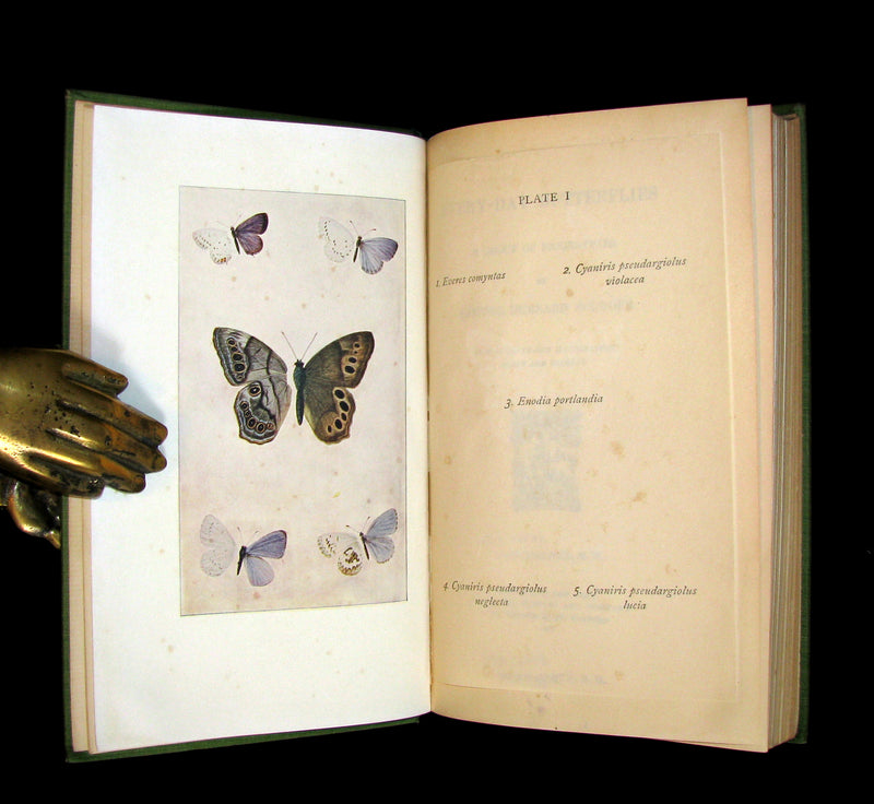 1899 Rare First Edition Book - Every-Day Butterflies A group of Biographies by Samuel Hubbard Scudder