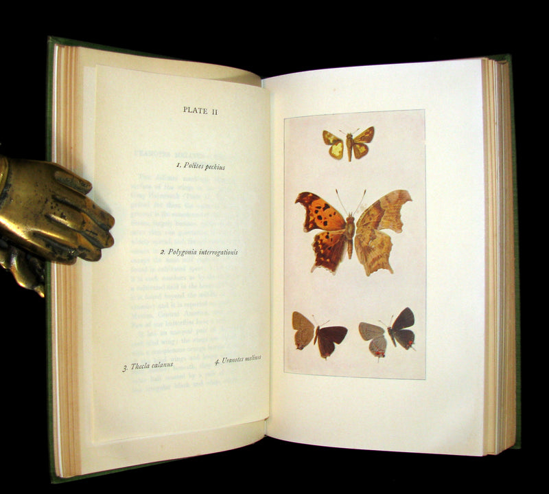 1899 Rare First Edition Book - Every-Day Butterflies A group of Biographies by Samuel Hubbard Scudder