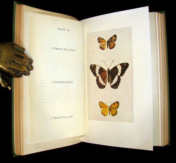 1899 Rare First Edition Book - Every-Day Butterflies A group of Biographies by Samuel Hubbard Scudder