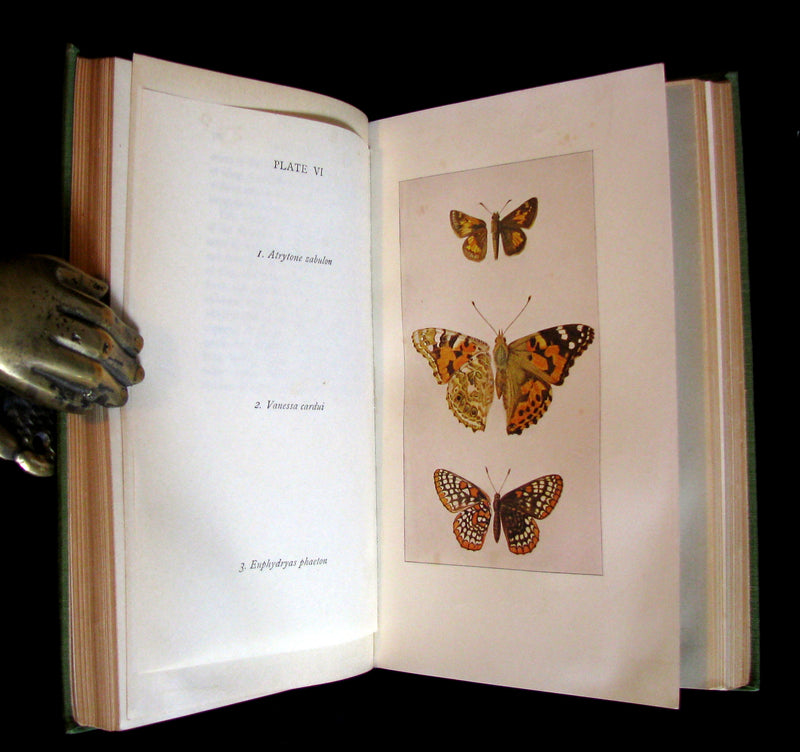 1899 Rare First Edition Book - Every-Day Butterflies A group of Biographies by Samuel Hubbard Scudder