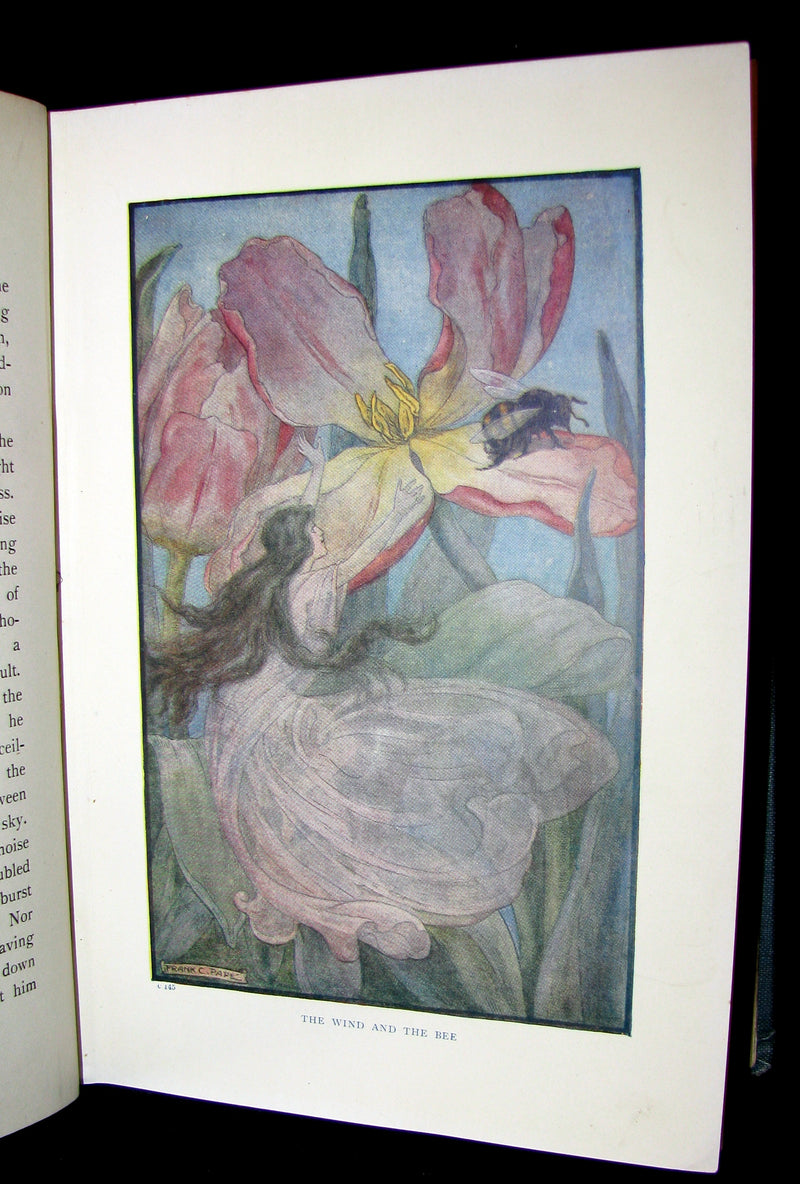 1911 Rare Edition - AT THE BACK OF THE NORTH WIND by George MacDonald.