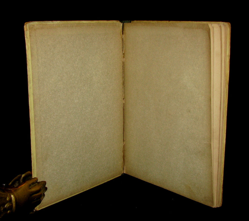 1880's Scarce Victorian Book ~ The Christmas Tree Fairy illustrated by Lizzie Lawson Mack