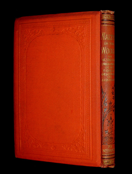 1873 Scarce Book - WALTER IN THE WOODS - The Trees and Common Objects of the Forest.