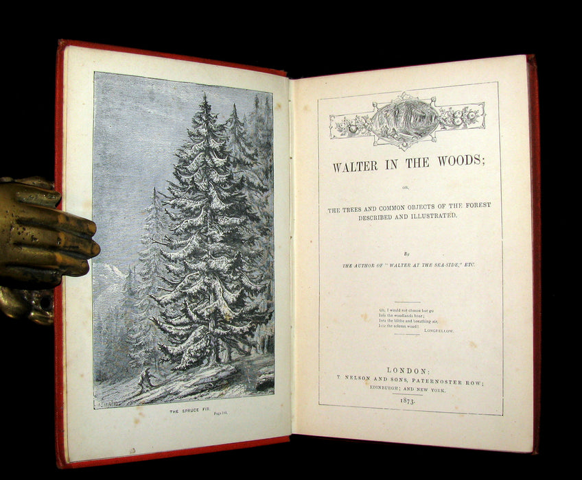 1873 Scarce Book - WALTER IN THE WOODS - The Trees and Common Objects of the Forest.