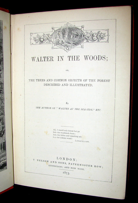 1873 Scarce Book - WALTER IN THE WOODS - The Trees and Common Objects of the Forest.