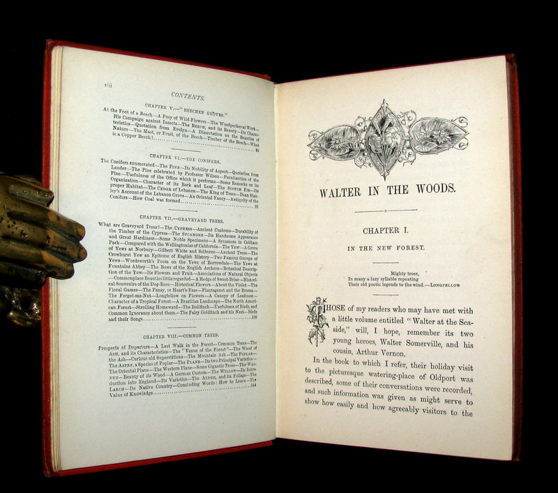 1873 Scarce Book - WALTER IN THE WOODS - The Trees and Common Objects of the Forest.