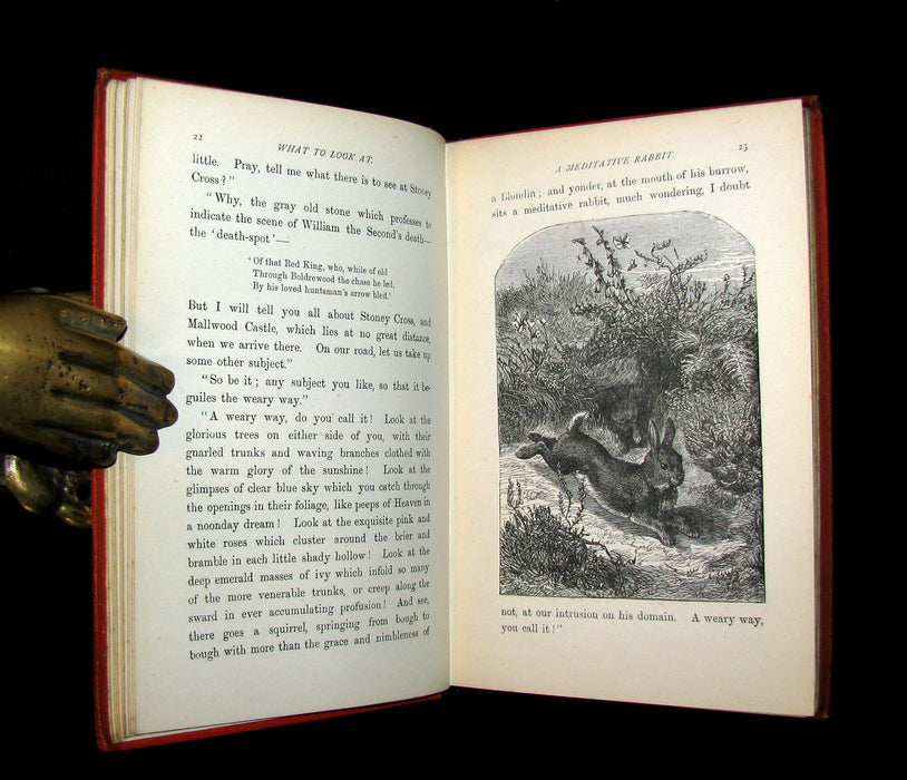 1873 Scarce Book - WALTER IN THE WOODS - The Trees and Common Objects of the Forest.