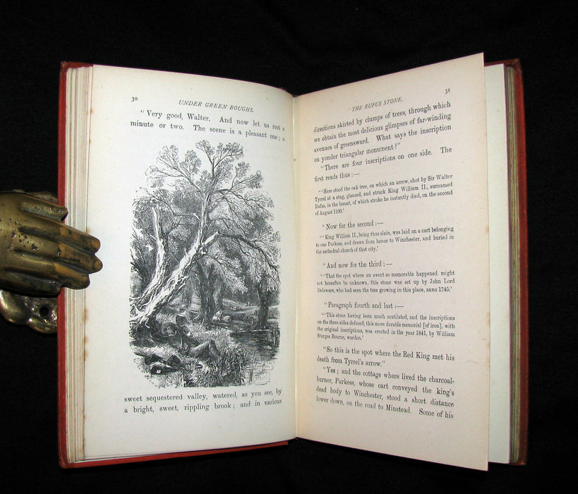 1873 Scarce Book - WALTER IN THE WOODS - The Trees and Common Objects of the Forest.