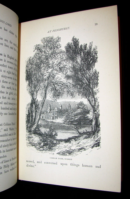 1873 Scarce Book - WALTER IN THE WOODS - The Trees and Common Objects of the Forest.